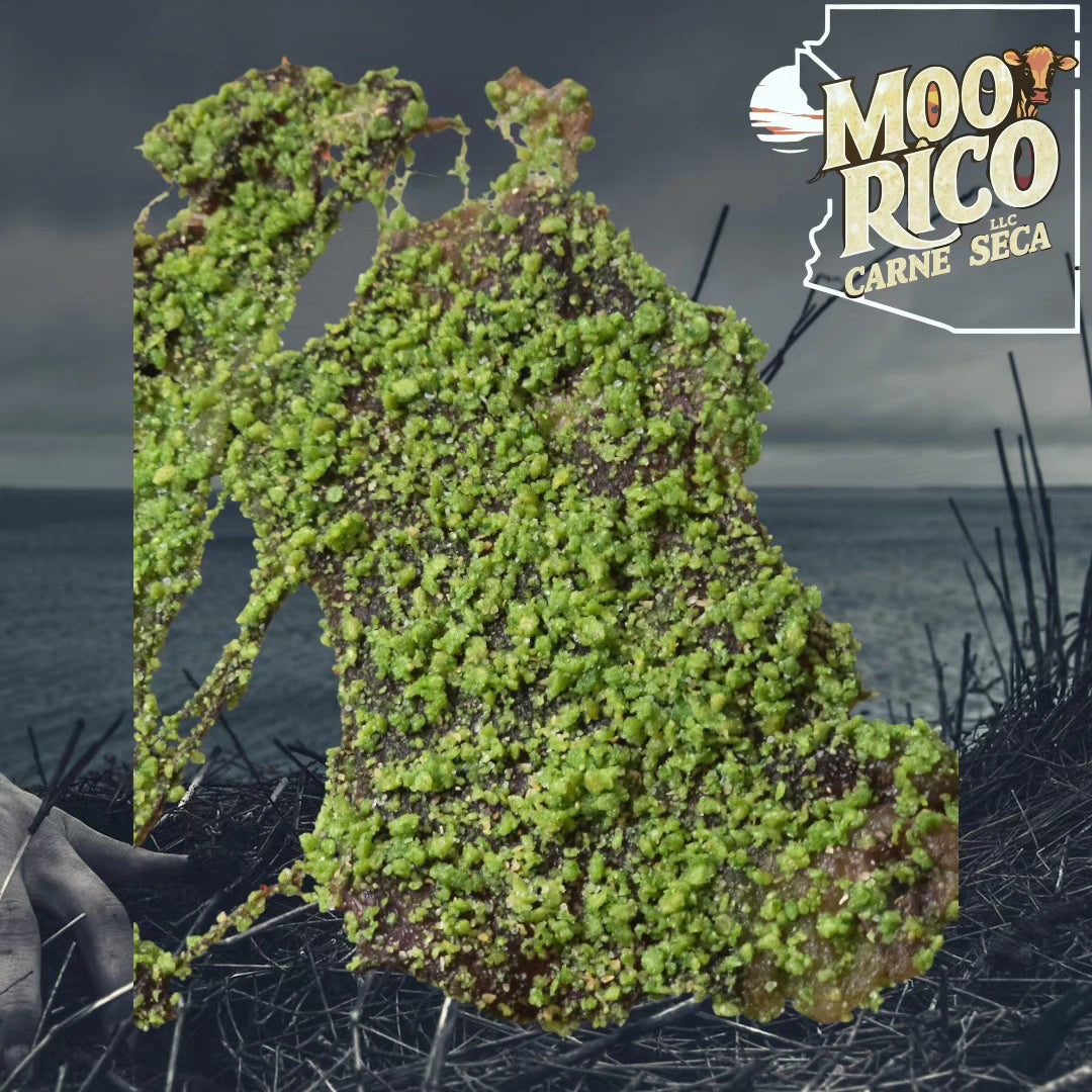 Zombie takis 4.5oz - Moo rico
